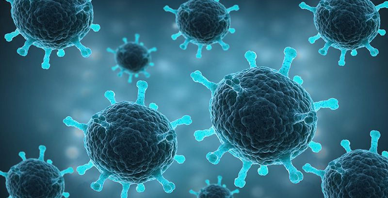 Pathogenic microorganism mNGS 