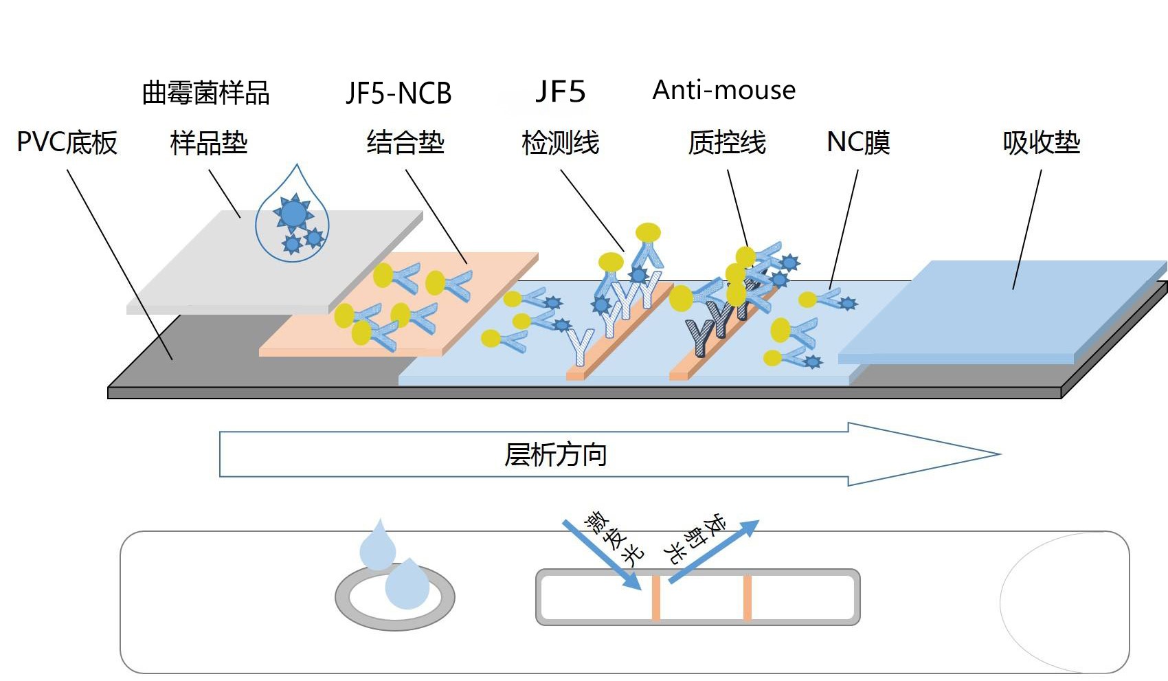 产品原理图  