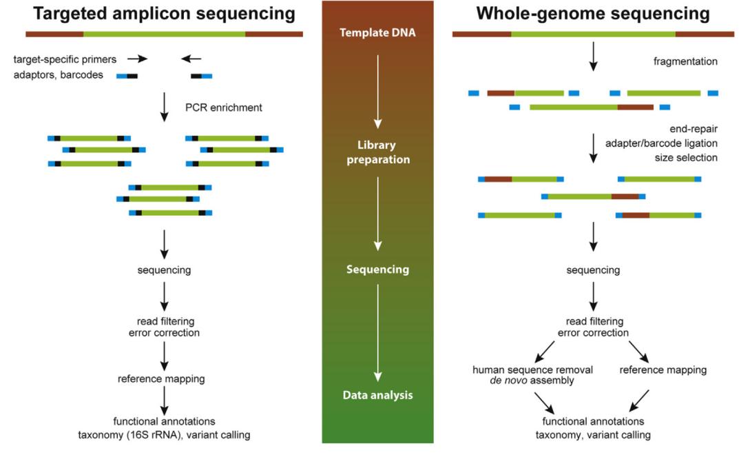 Pathogen targeted next generation sequencing (ptNGS) 