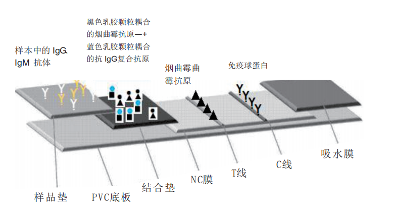 Product schematic diagram 