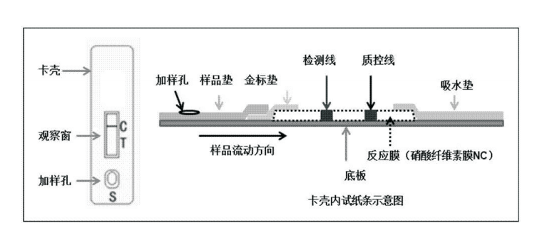 Product schematic diagram 