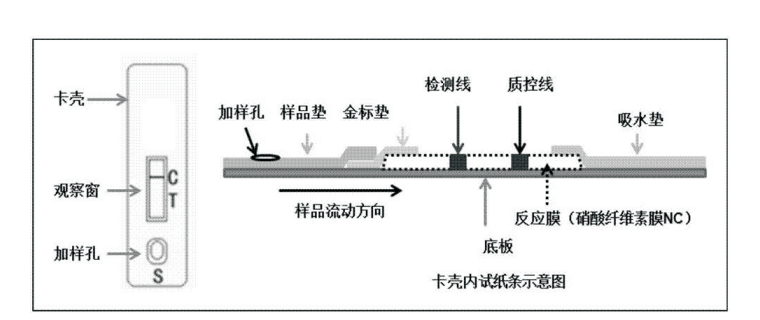 产品原理图 